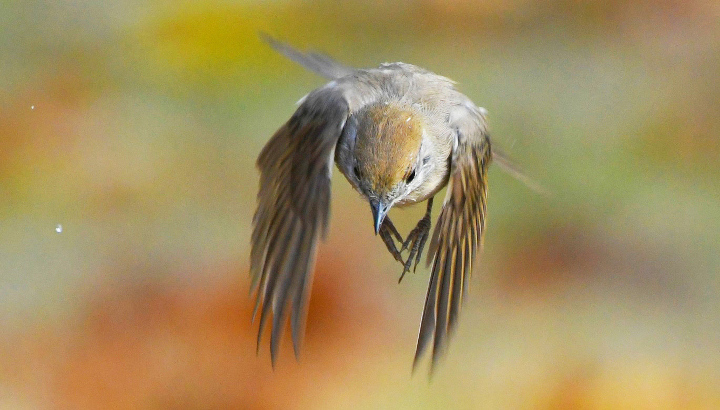 Découvrez vos formations nature !